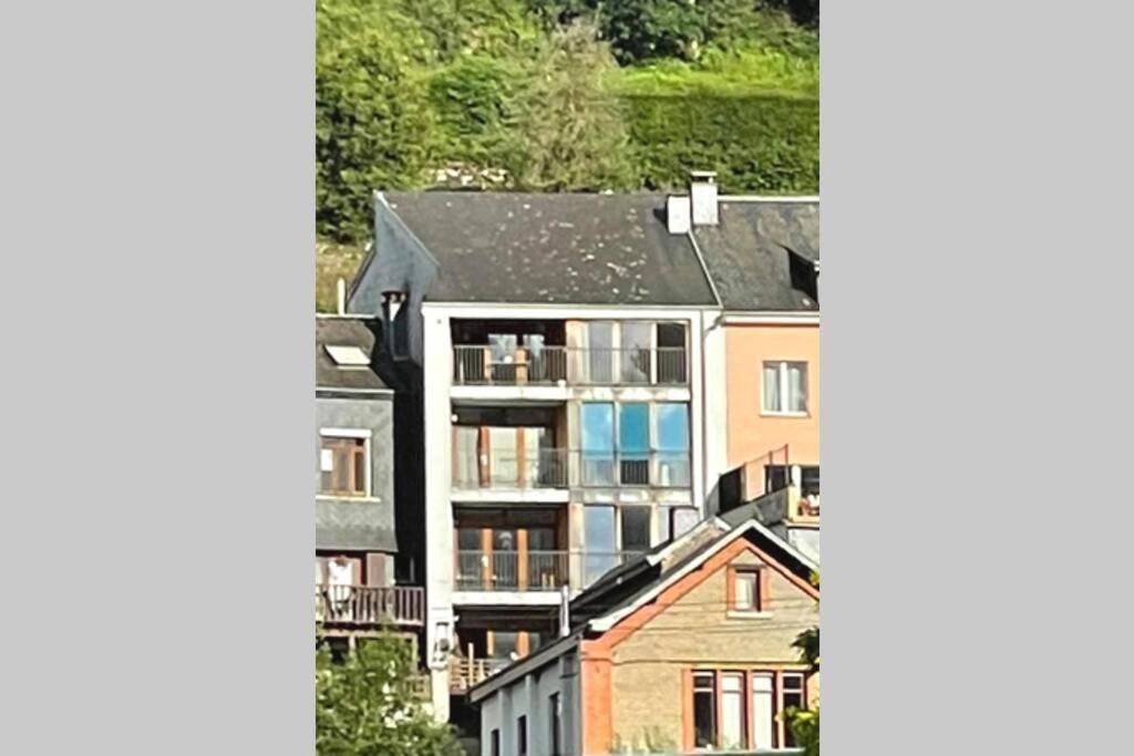 A Bouillon, Vintage Vue Sur Le Chateau